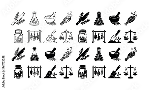 Set of black vector icons for herbalism, apothecary, and natural medicine. Solid and outline styles for wellness, organic branding, web, and print design.