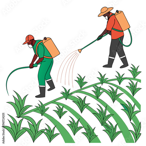 Two men spraying pesticide on a field of plants