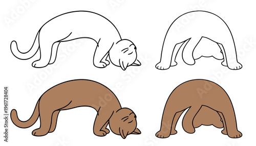 Cat in Setu Bandha Sarvangasana Bridge yoga pose, side and front views, colorful and transparent design, vector set