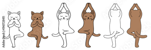 Cat in Vrksasana Tree yoga pose, front and back views, folded and stretched arms, colorful and transparent design, vector set