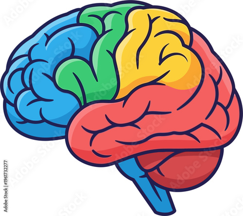A cartoon illustration of a human brain with different lobes colored in blue, green, yellow, and red, representing various functions.