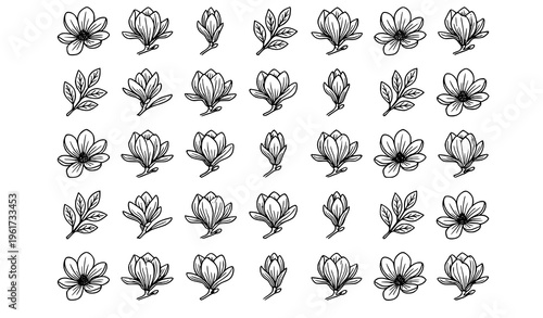 Modern magnolia flower outline illustration with blooming floral elements in clean minimal vector style