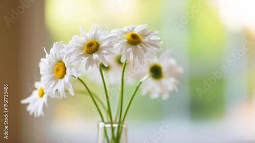 daisies. Fresh daisies in a simple vase with soft green stems, bathed in natural daylight. gardening catalogs, home-decor guides, designed for home decor and floral branding.
