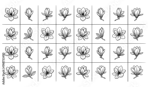 Magnolia flower sketch line art with blossoms buds and leaves minimal black and white vector design