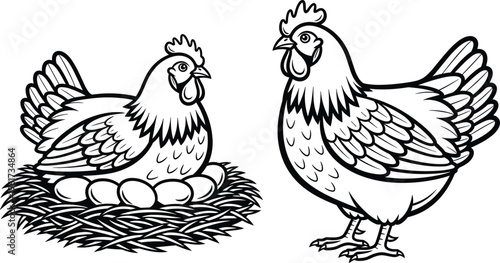 Hen and Chicken Illustration Set Featuring a Brooding Hen on a Nest with Eggs and a Standing Hen for Agriculture Design