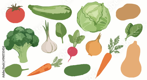Watercolor fresh vegetables clipart set with tomato cabbage carrot broccoli and more isolated on white background
