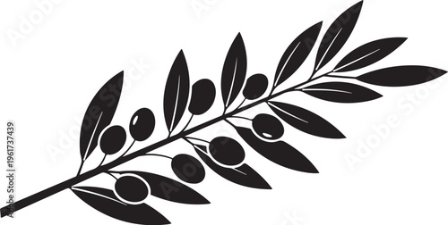 Olive branch, black silhouette, vector icon, leafy symbol, food illustration