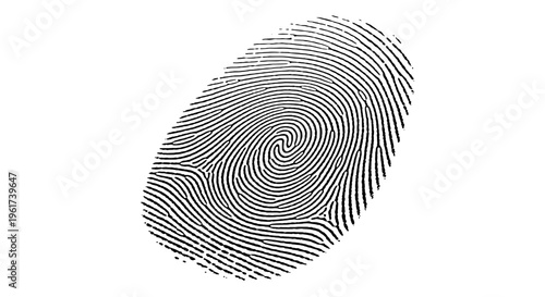 Fingerprint with black lines and swirling patterns for identification featuring identity, biometric, biometric data with security and safety elements