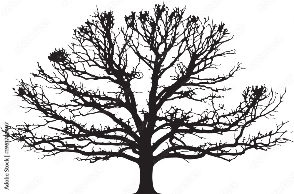 Obraz premium Bare tree silhouette, black tree icon, tree without leaves, minimalist tree vector