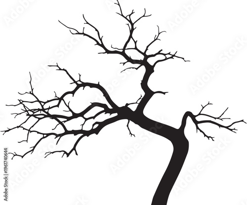 Bare tree, black silhouette, tree branch, winter icon, minimalist design element