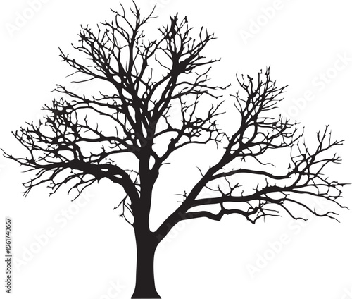 Bare tree, black silhouette, leafless branches, vector icon