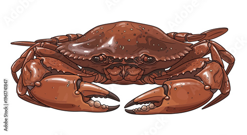 Brown Crab Illustration