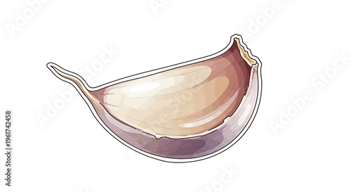 Single Garlic Clove Isolated on White Background