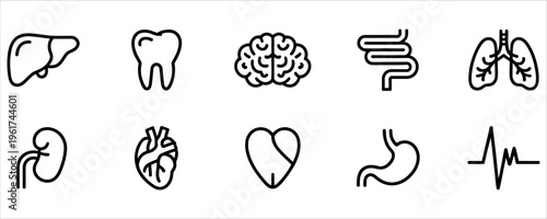 Minimalist black line art icons depicting major human organs and health symbols, ideal for medical, educational, and wellness-related designs and presentations.