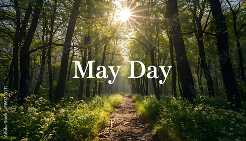 A serene forest path on a sunny May Day with lush greenery and wildflowers