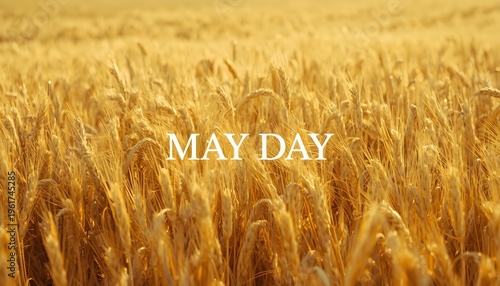 A serene wheat field on a sunny day with the words May Day written in the center