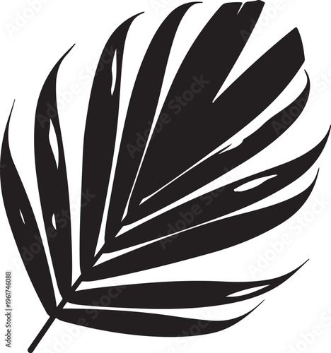 Black palm leaf, tropical vector, palm tree silhouette, exotic foliage, palm leaf, palm tree, tropical, foliage, leaf, plant, exotic, silhouette, vector, black, illustration, graphic, icon, design ele