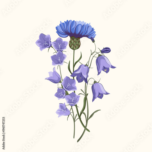 A bouquet of wildflowers. Cornflower and bluebells. Vector illustration.

