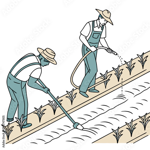 Two farmers working in a field with a hose