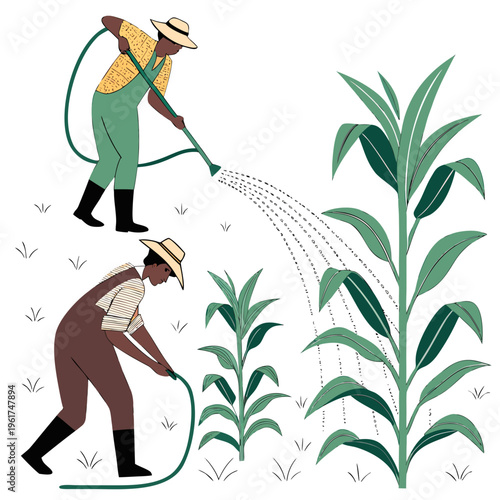 Farmers watering plants with a hose