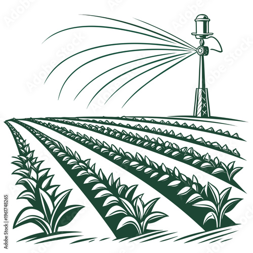 A green field with rows of plants being watered by a sprinkler