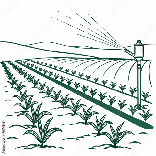 A green field with plants being watered by a sprinkler