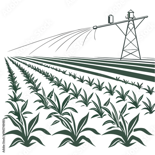 An irrigation system watering a field of crops