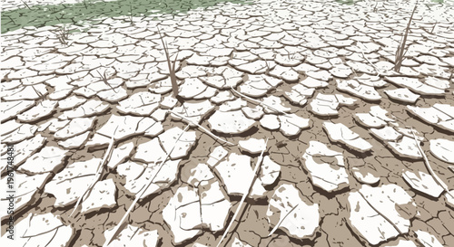 A close-up view of a dry and cracked earth surface