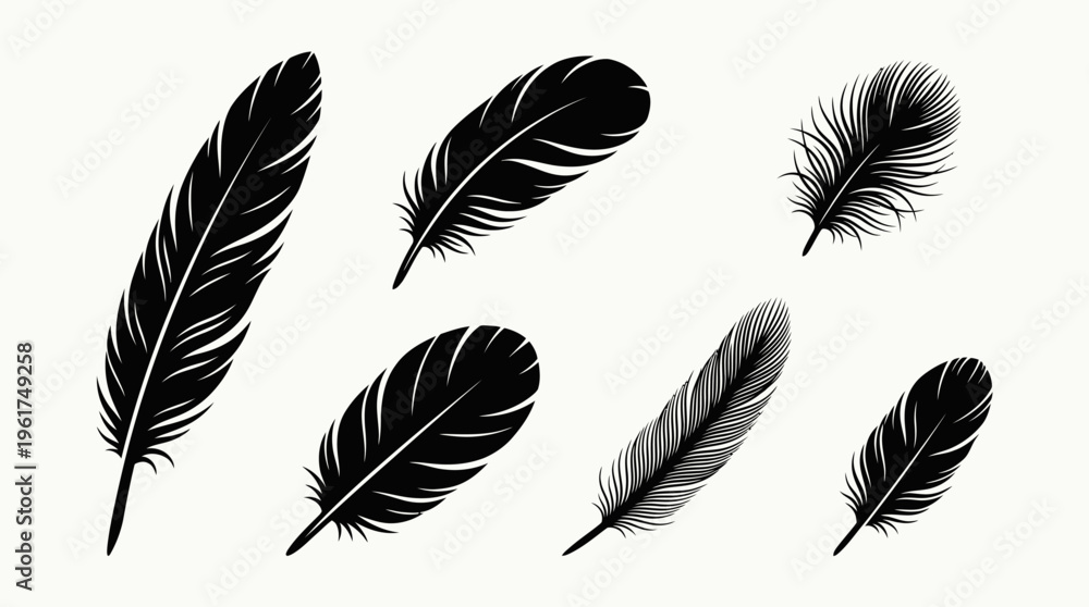 Naklejka premium A collection of various black bird feathers, showcasing different sizes and textures against a clean white background.