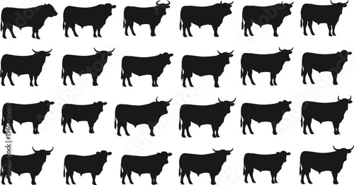 Bull silhouettes vector set, cattle livestock illustration collection, farm animal side views, black cow shapes, ranch agriculture design elements bundle isolated