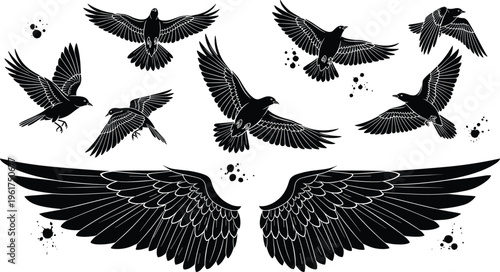 Flying bird silhouettes vector set, spread wings illustration collection, crow raven flight poses, black wing shapes, tattoo design elements isolated bundle