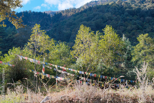 Colorful Buddhist Prayer Flags Fluttering Over Himalayan Forest and Mountain Slopes