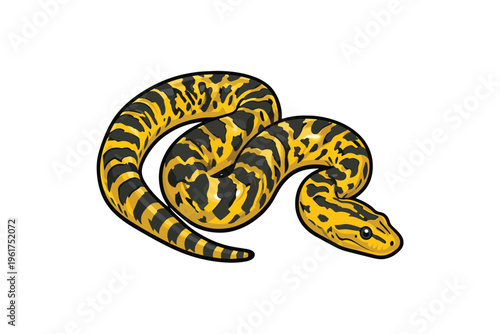 Anaconda snake with bold patterns vector illustration
