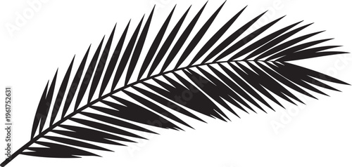 Black palm leaf, tropical vector icon, palm tree branch, minimalist design element