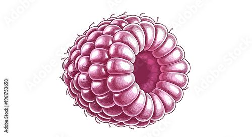 Close-up of a single raspberry, isolated on white background