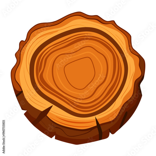 A cut tree trunk with visible rings
