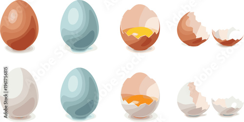 Egg stages vector set whole cracked broken eggshell yolk food illustration collection kitchen ingredient cooking design isolated elements pack