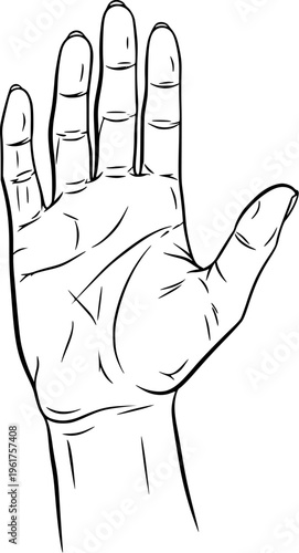 Human Hand Line Art Illustration for Anatomy Study, Gesture Reference, Medical and Educational Design