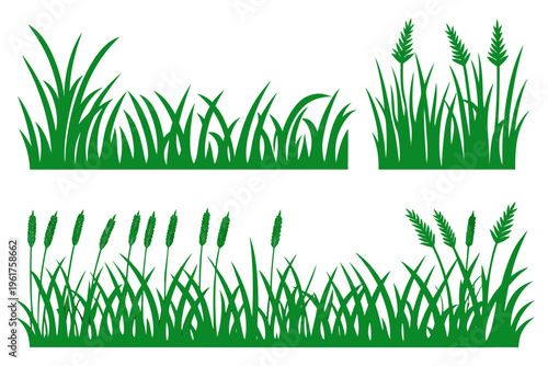 Natural green grass and cereal spikes vector set