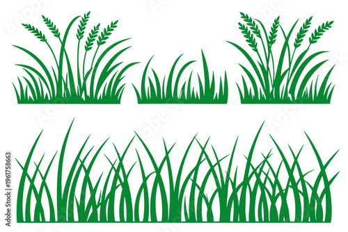 Fresh green grass and wheat plants vector set