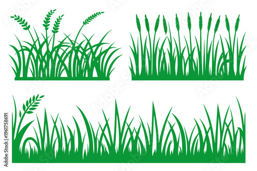 Green grass and cereal plants silhouettes vector set