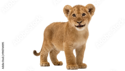 Foto Sweet baby lion cub standing, looking with bright eyes and a happy, playful expr