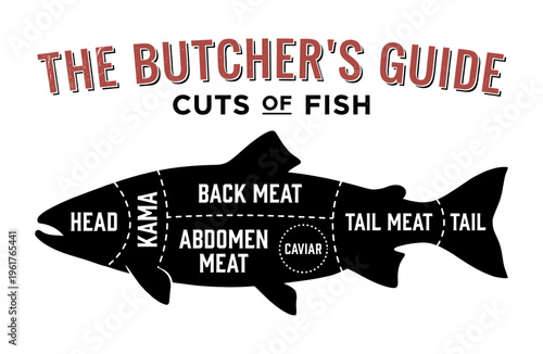 Fish butcher guide poster with meat cut scheme