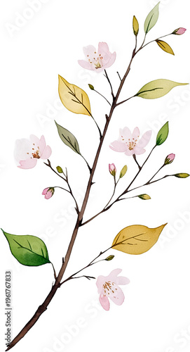 Branch with Pink Flowers and Green Leaves Illustration