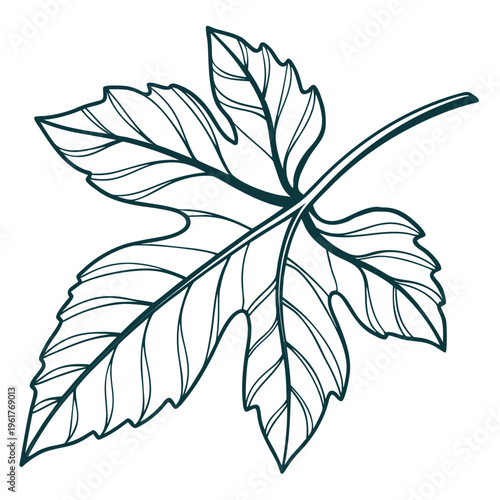 A drawing of a maple leaf