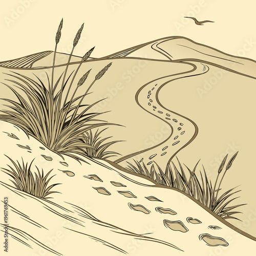 A drawing of a sandy path through dunes
