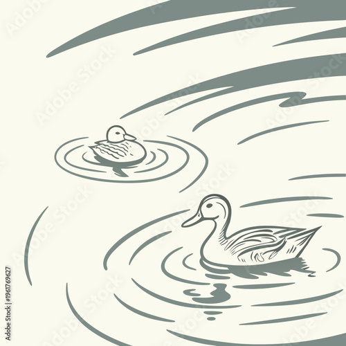 Two ducks are swimming in the water