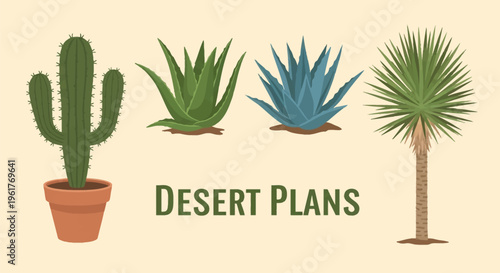 Vector illustration set of four desert plants featuring a saguaro cactus in a terracotta pot, green aloe vera succulent, blue agave plant, and a tall yucca tree with text.