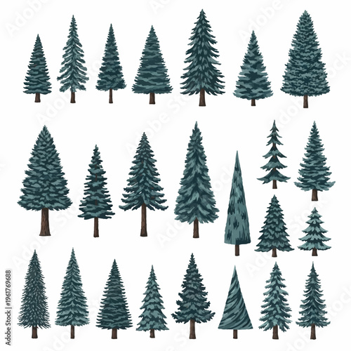 Set of twenty-one diverse evergreen conifer trees including pine, spruce, and fir species in various shapes and sizes with blue-green foliage, isolated on a white background.