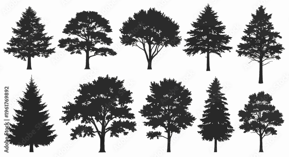 Fototapeta premium Collection of ten distinct black tree silhouettes including oak, pine, fir, and maple species, isolated on a white background for environmental graphic design and landscape architecture.